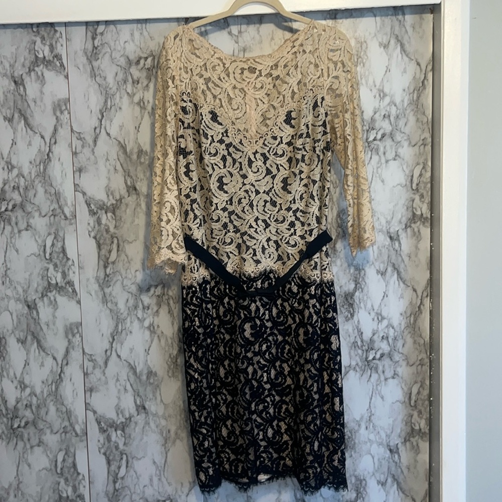 Lace belted dress tadashi shoji